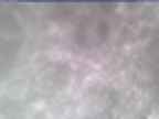 20250303_090001-1.jpg 