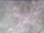 20250303_112002-1.jpg 