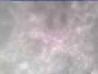 20250303_134001-1.jpg 