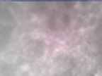 20250303_140001-1.jpg 