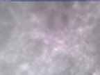 20250303_144002-1.jpg 