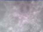 20250303_150001-1.jpg 