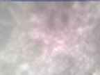 20250303_154001-1.jpg 