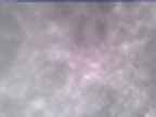 20250303_160002-1.jpg 