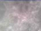 20250303_164002-1.jpg 