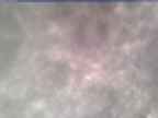 20250303_170002-1.jpg 
