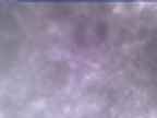 20250304_070002-1.jpg 