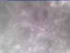 20250304_074002-1.jpg 