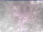 20250304_080001-1.jpg 