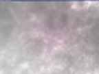 20250304_084002-1.jpg 