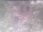 20250304_090001-1.jpg 