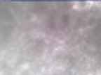 20250304_094002-1.jpg 