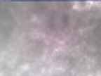 20250304_100001-1.jpg 