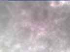 20250304_104002-1.jpg 