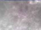 20250304_110002-1.jpg 