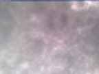 20250304_120001-1.jpg 
