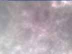 20250304_122002-1.jpg 