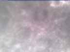 20250304_124002-1.jpg 
