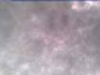 20250304_134001-1.jpg 