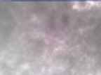 20250304_140002-1.jpg 