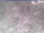 20250304_144002-1.jpg 
