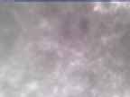 20250304_150001-1.jpg 