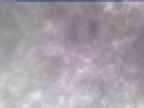 20250304_154001-1.jpg 