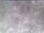 20250304_160002-1.jpg 