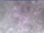 20250304_170001-1.jpg 