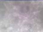20250305_080002-1.jpg 