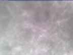 20250305_090001-1.jpg 