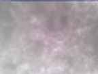 20250305_110002-1.jpg 