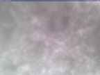 20250305_112002-1.jpg 