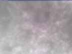 20250305_114001-1.jpg 