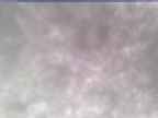 20250305_124001-1.jpg 