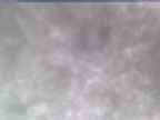 20250305_130001-1.jpg 