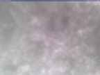 20250305_134002-1.jpg 