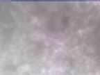 20250305_150001-1.jpg 