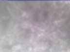 20250305_160001-1.jpg 