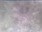 20250305_162002-1.jpg 