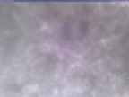 20250305_164001-1.jpg 