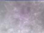 20250305_170002-1.jpg 