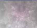20250306_160002-1.jpg 