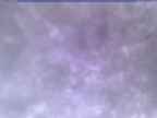 20250310_070001-1.jpg 