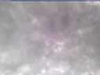 20250310_100002-1.jpg 