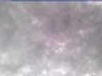 20250310_110002-1.jpg 