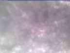 20250310_134002-1.jpg 
