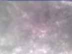 20250310_140002-1.jpg 