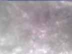 20250310_150002-1.jpg 