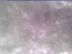 20250310_160001-1.jpg 